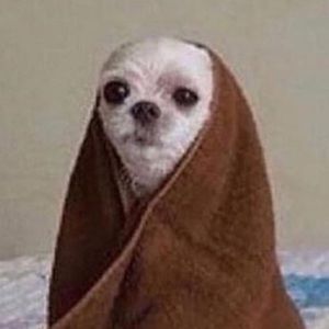 Meet your Posher, Hope